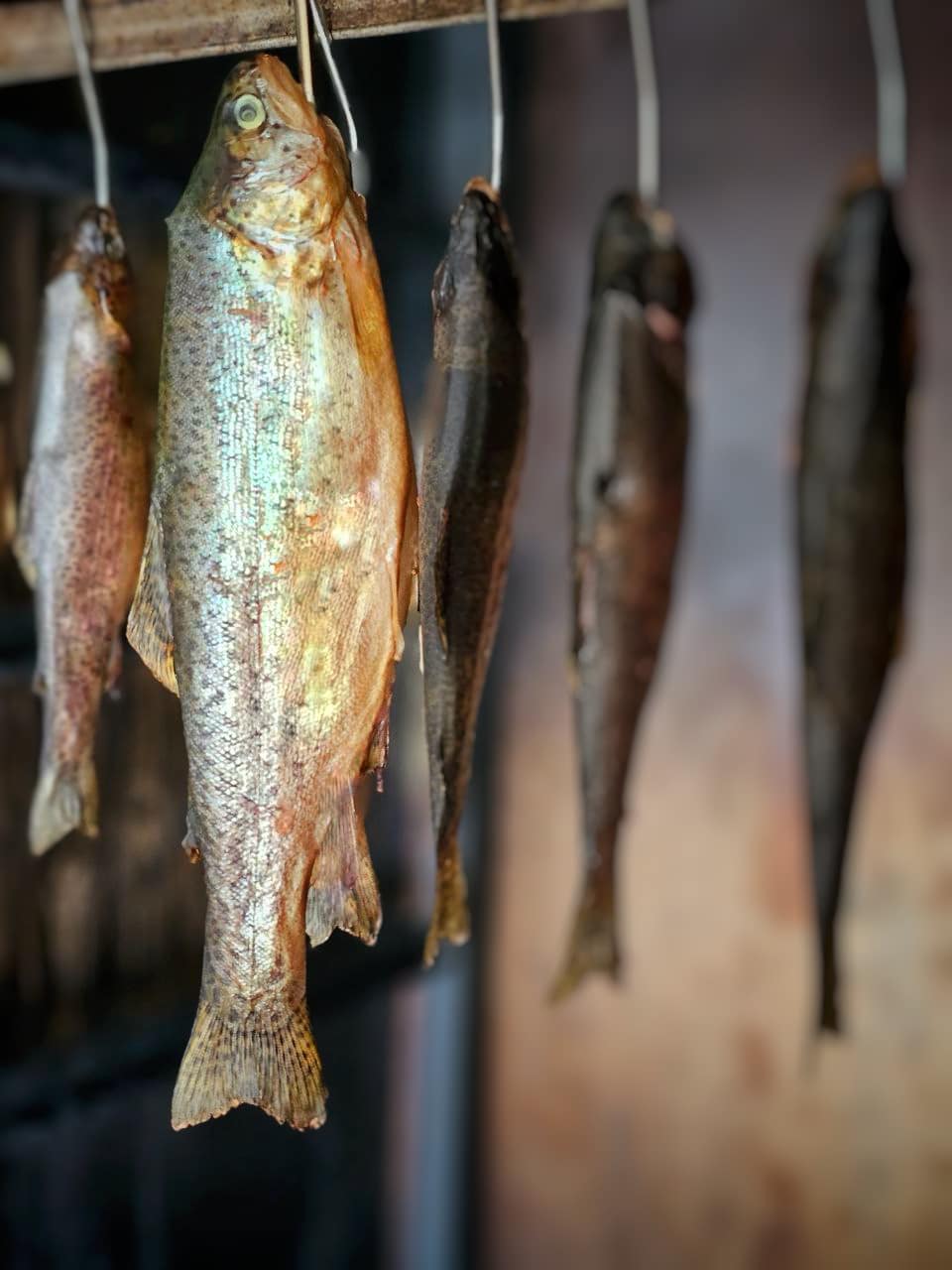 Fisch am Haken zum Räuchern
